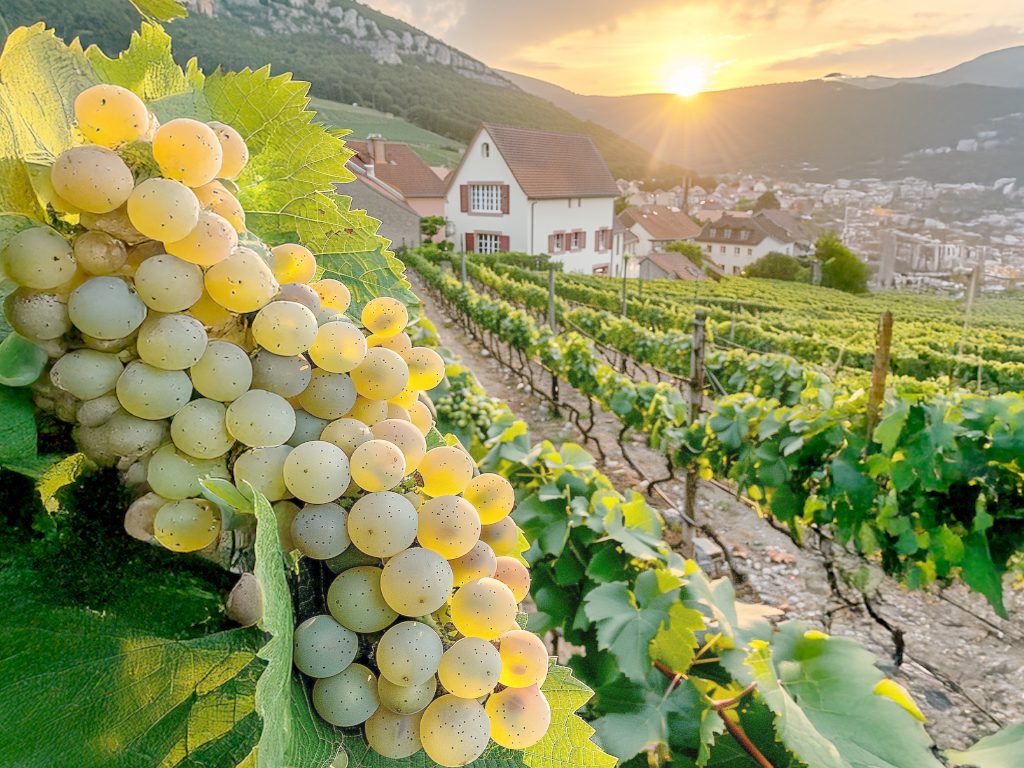 Georgia Summer Program 7 Nights 8 Days The Diamond Package
