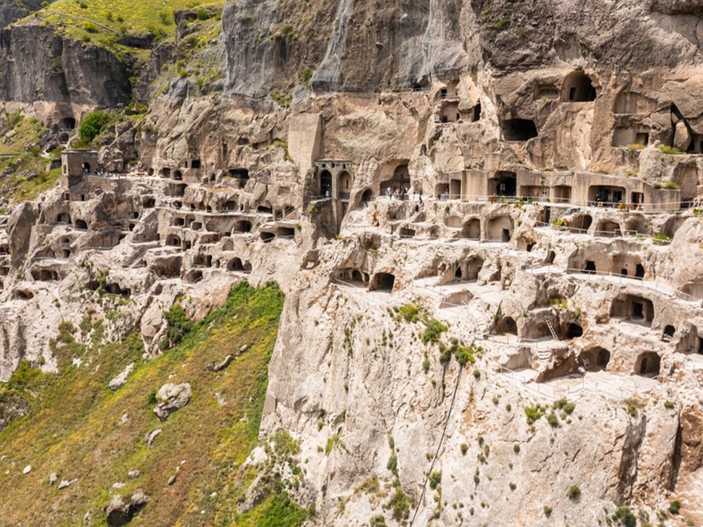 فاردزيا