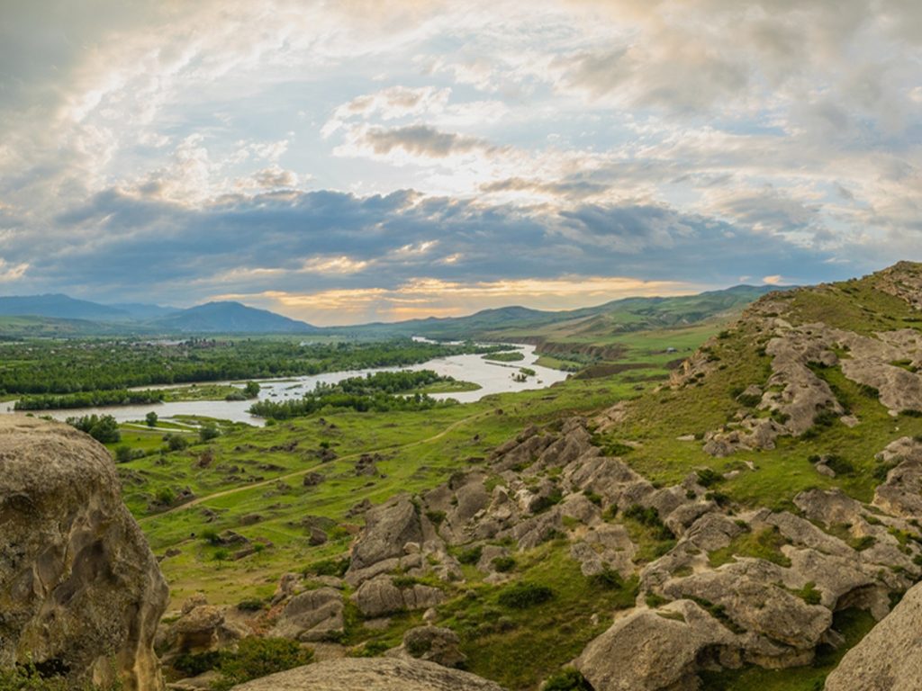 فاردزيا